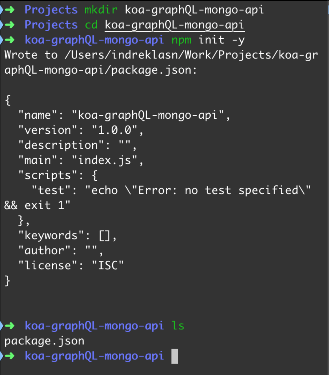 node project terminal